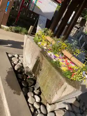 大前神社(栃木県)