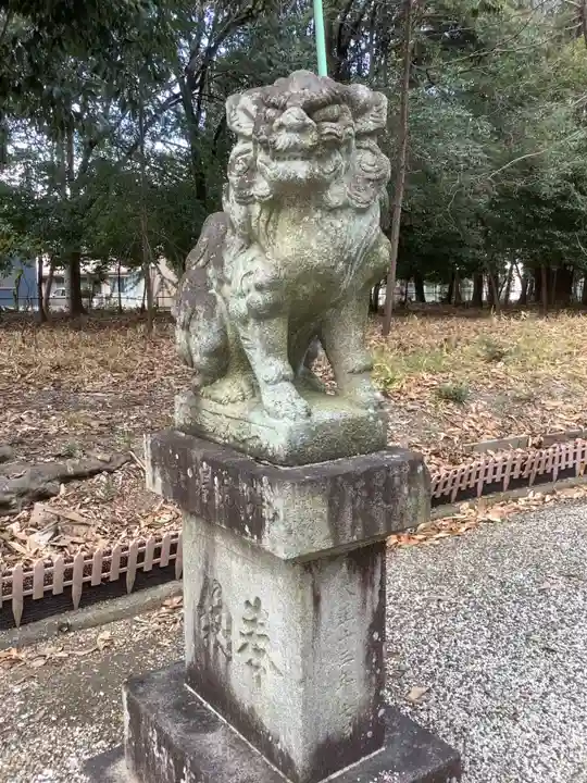 八幡社(柏井町)の狛犬
