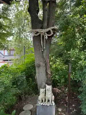 差出磯大嶽山神社 仕事と健康と厄よけの神さま(山梨県)