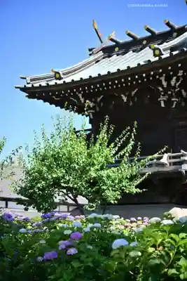 白山神社(東京都)