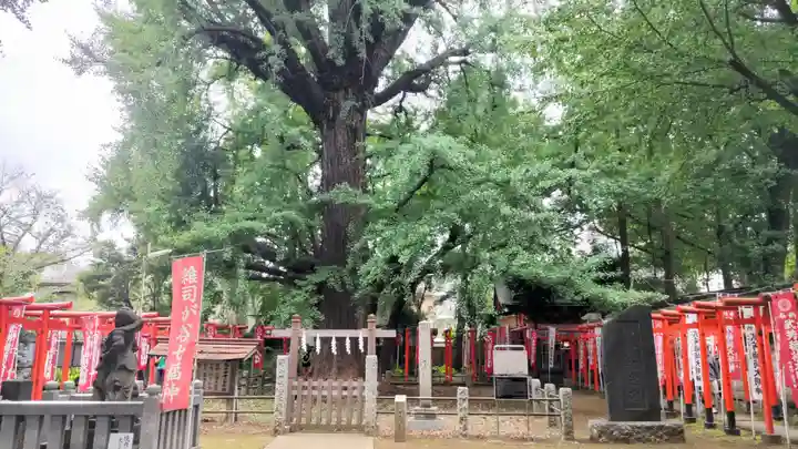 鬼子母神堂 (法明寺)(東京都)