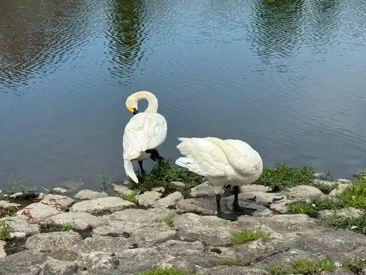 水原八幡宮(新潟県)