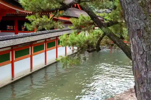 厳島神社(広島県)
