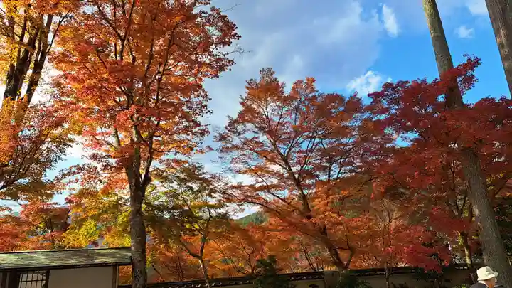 三千院門跡(京都府)