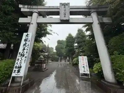 亀ケ池八幡宮(神奈川県)