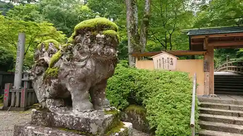 古峯神社の狛犬