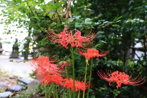 阿邪訶根神社の庭園