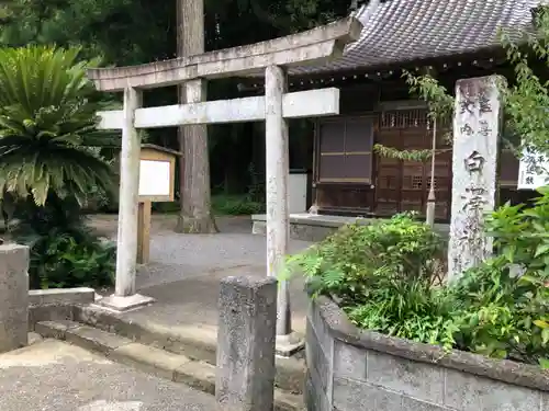 白澤神社(静岡県)