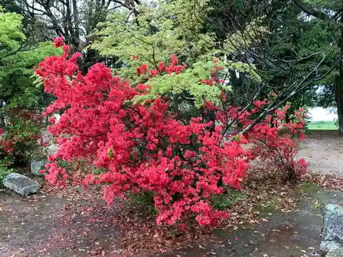 岩岡神社の庭園