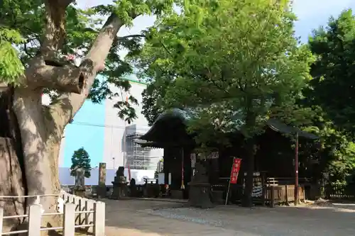 阿邪訶根神社の景色