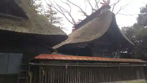 高浜神社の本殿・本堂