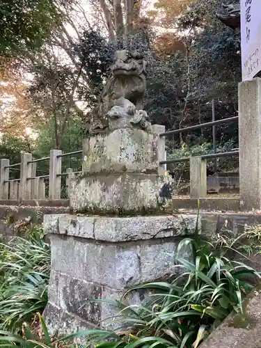 高尾山麓氷川神社の狛犬