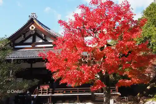 くろ谷 金戒光明寺のその他建物