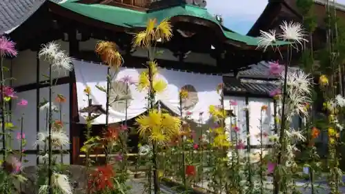 大覚寺の建物その他