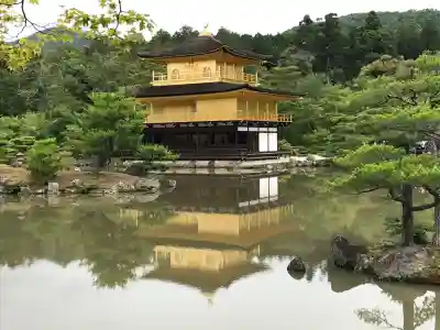 鹿苑寺（金閣寺）の{uncategorized: "未分類", other: "その他", undefined: "問題あり", building: "その他建物", grave: "お墓", sacred_gate: "鳥居", guardian: "狛犬", statue: "像", buddha: "仏像", history: "歴史", nature: "自然", garden: "庭園", animal: "動物", pagoda: "塔", temizu: "手水舎", mountain_gate: "山門・神門", sanctuary: "本殿・本堂", subordinate: "末社・摂社", art: "芸術", scenery: "景色", jizo: "地蔵", ema: "絵馬", goshuin: "御朱印", omikuji: "おみくじ", items: "授与品その他", amulet: "お守り", goshuincho: "御朱印帳", eats: "食事", festival: "お祭り", votive_dance: "神楽", shichigosan: "七五三参", wedding: "結婚式", experience: "体験その他", initially: "初詣", around: "周辺", anti_infection: "感染症対策"}