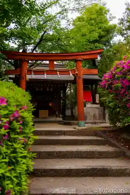 磯良神社（疣水神社）(大阪府)