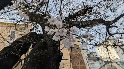 明楽寺(愛媛県)