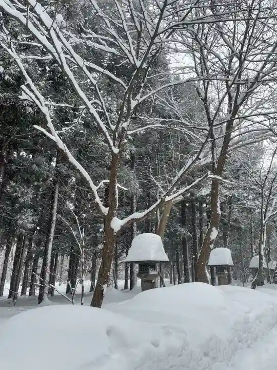 北海道神宮の自然