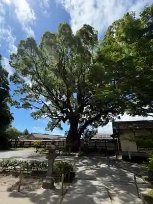 鹿児島神社の{uncategorized: "未分類", other: "その他", undefined: "問題あり", building: "その他建物", grave: "お墓", sacred_gate: "鳥居", guardian: "狛犬", statue: "像", buddha: "仏像", history: "歴史", nature: "自然", garden: "庭園", animal: "動物", pagoda: "塔", temizu: "手水舎", mountain_gate: "山門・神門", sanctuary: "本殿・本堂", subordinate: "末社・摂社", art: "芸術", scenery: "景色", jizo: "地蔵", ema: "絵馬", goshuin: "御朱印", omikuji: "おみくじ", items: "授与品その他", amulet: "お守り", goshuincho: "御朱印帳", eats: "食事", festival: "お祭り", votive_dance: "神楽", shichigosan: "七五三参", wedding: "結婚式", experience: "体験その他", initially: "初詣", around: "周辺", anti_infection: "感染症対策"}