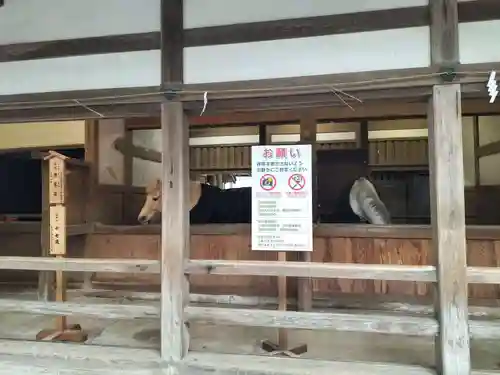 金刀比羅宮(香川県)