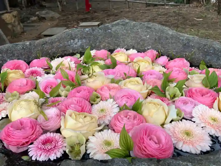 発寒神社(北海道)