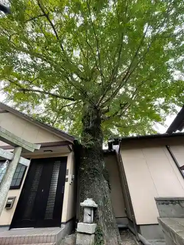 貴船神社(福岡県)