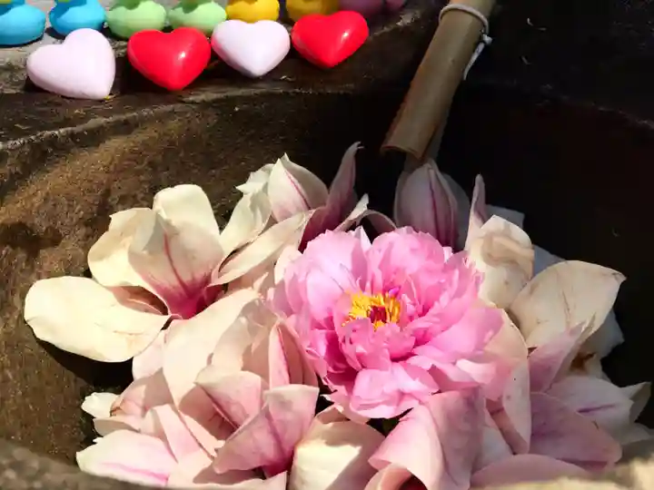 真言宗 善通寺派 薬王寺(香川県)