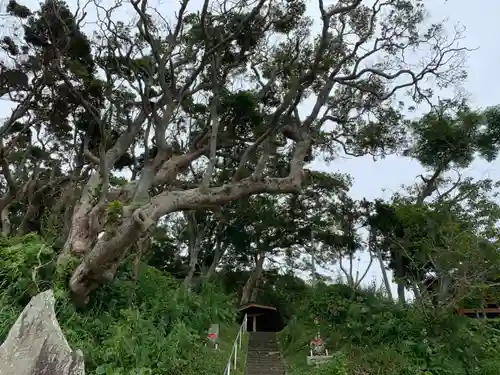 聖徳寺の景色