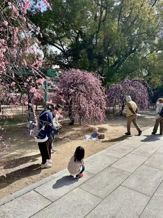 屯倉神社の{uncategorized: "未分類", other: "その他", undefined: "問題あり", building: "その他建物", grave: "お墓", sacred_gate: "鳥居", guardian: "狛犬", statue: "像", buddha: "仏像", history: "歴史", nature: "自然", garden: "庭園", animal: "動物", pagoda: "塔", temizu: "手水舎", mountain_gate: "山門・神門", sanctuary: "本殿・本堂", subordinate: "末社・摂社", art: "芸術", scenery: "景色", jizo: "地蔵", ema: "絵馬", goshuin: "御朱印", omikuji: "おみくじ", items: "授与品その他", amulet: "お守り", goshuincho: "御朱印帳", eats: "食事", festival: "お祭り", votive_dance: "神楽", shichigosan: "七五三参", wedding: "結婚式", experience: "体験その他", initially: "初詣", around: "周辺", anti_infection: "感染症対策"}