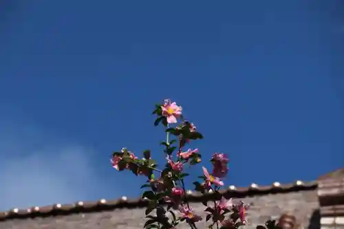 満願寺の庭園