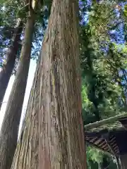 恵那神社(岐阜県)