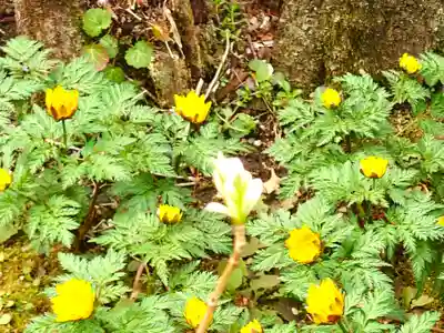瑞泉寺(神奈川県)