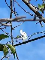 加佐美神社(岐阜県)