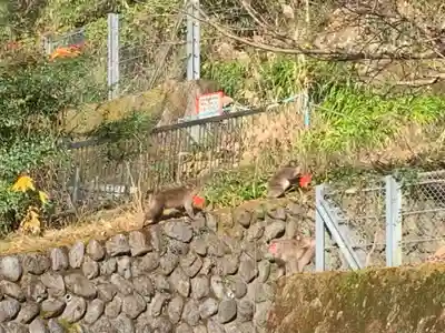久遠寺(山梨県)