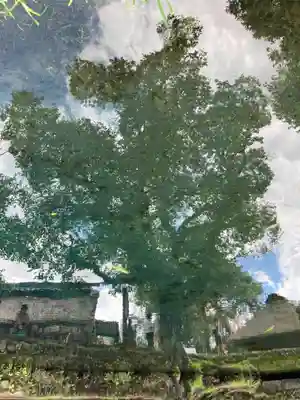 淺間神社（忍野八海）(山梨県)