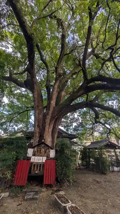 川邊八幡神社(大阪府)