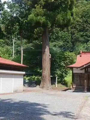 古鷹神社(埼玉県)