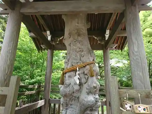 加賀神明宮の自然