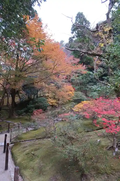 慈照寺(慈照禅寺・銀閣寺)の庭園