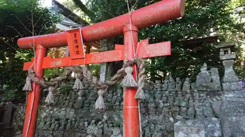 男嶽神社の鳥居