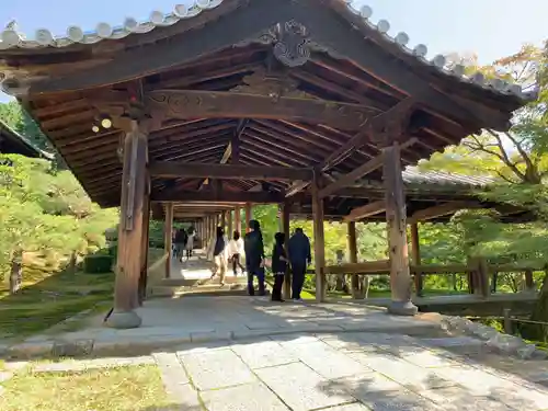 東福禅寺（東福寺）(京都府)