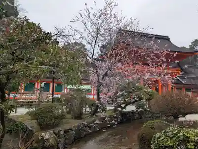 賀茂別雷神社（上賀茂神社）(京都府)