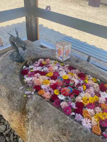 金井神社の手水舎