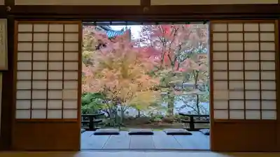 興聖寺(京都府)