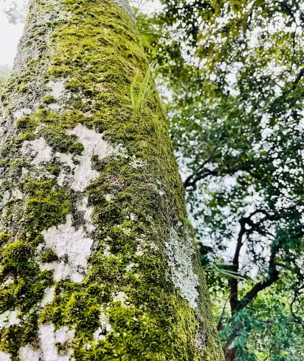 大本山七宝瀧寺の自然