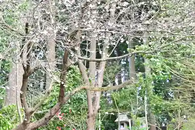 旦飯野神社(新潟県)