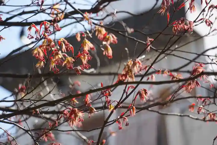三輪神社の自然