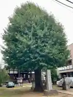 成田山不動大教会(東京都)