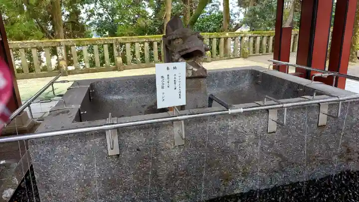 霧島神宮(鹿児島県)