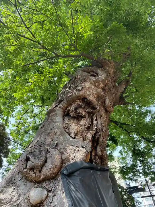 調神社(埼玉県)
